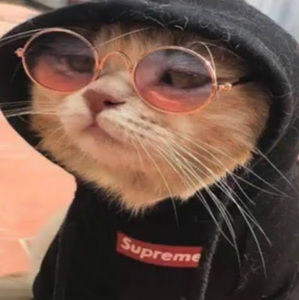 Meet your Posher, Kevin